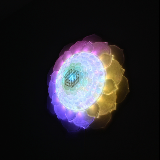 Flower of Life Light Sculpture